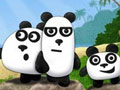 3 панды